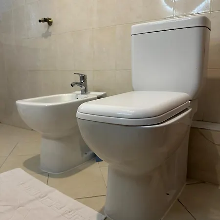 Brejsa's Nest * 티라나