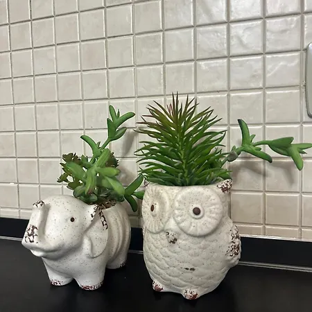 아파트 Brejsa's Nest