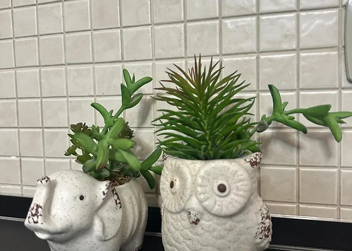 Apartamento Brejsa's Nest